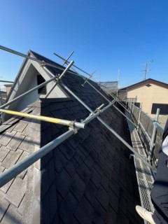 20221109_043941188_iOS