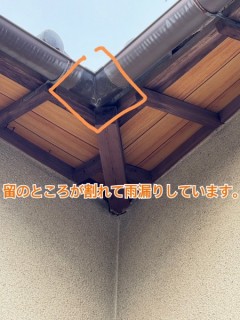 20240507_091112457_iOS