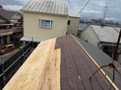 IMG_0198