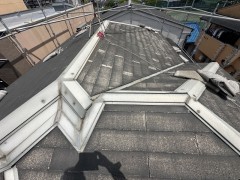 IMG_0263
