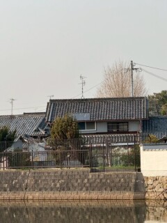 IMG_0453