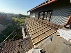 IMG_0456