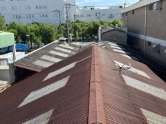 IMG_0589