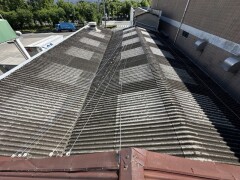 IMG_0590
