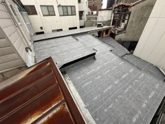 IMG_0953