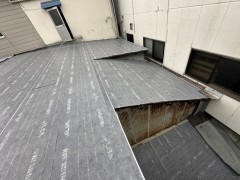 IMG_0954