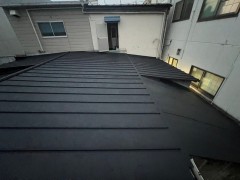 IMG_0959