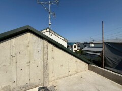 IMG_1161