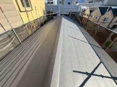 IMG_1323