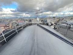 IMG_1761