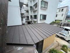 IMG_1784