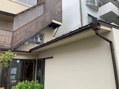 IMG_1786