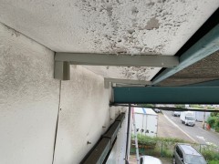IMG_2576