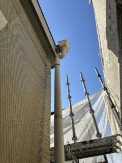 IMG_8695