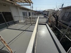IMG_8696