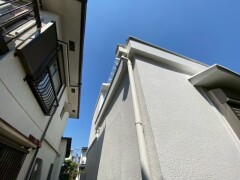 IMG_8700