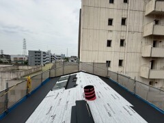 IMG_9651