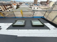 IMG_9652